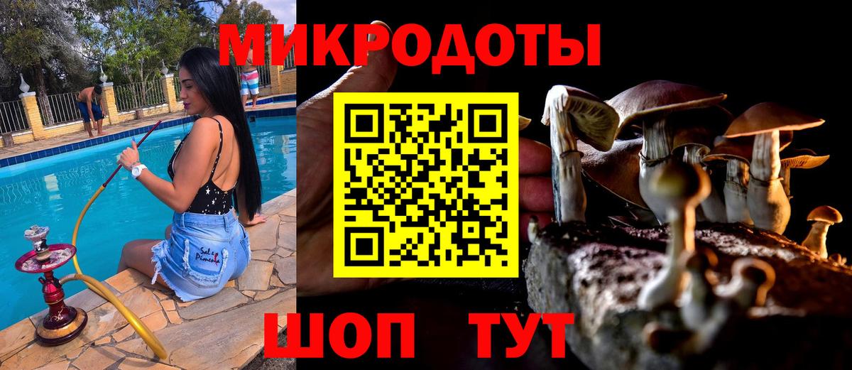 Батайск  Псилоцибиновые грибы MAGIC MUSHROOMS  Вход с VPN 